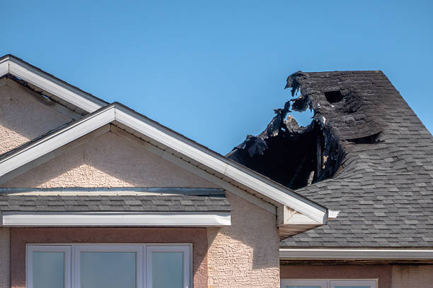 Top rated local Fire Damage Removal specialists in Bristow, VA